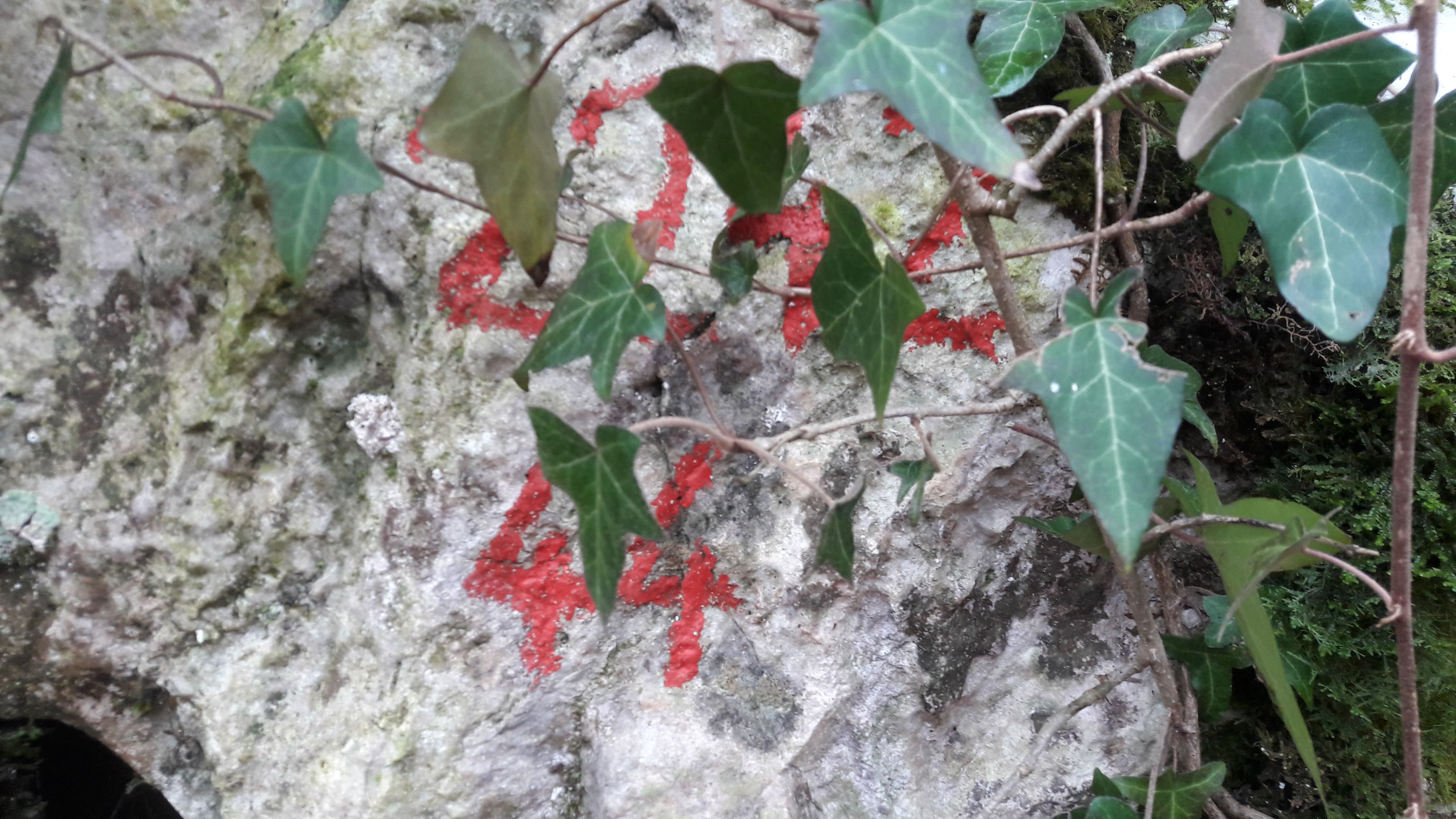 Pestera cu Cot - Image 1